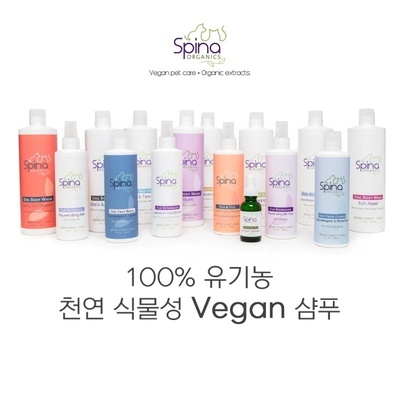 독패션스파&스피나