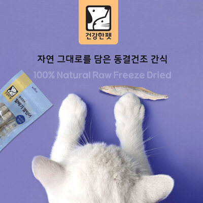건강한펫