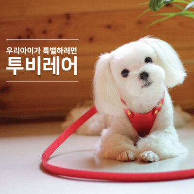 투비레어