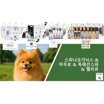 독패션스파&스피나
