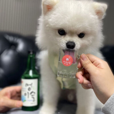 멍포차