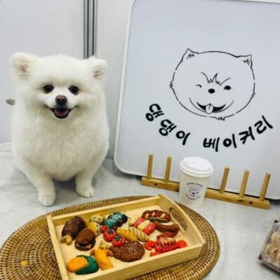 댕댕이베이커리