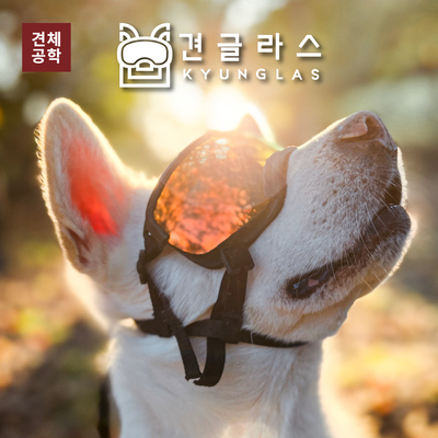 견체공학