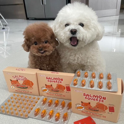 스푼풀코리아