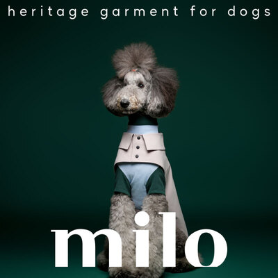  마일로(milo)