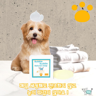  스킨365-버블부들