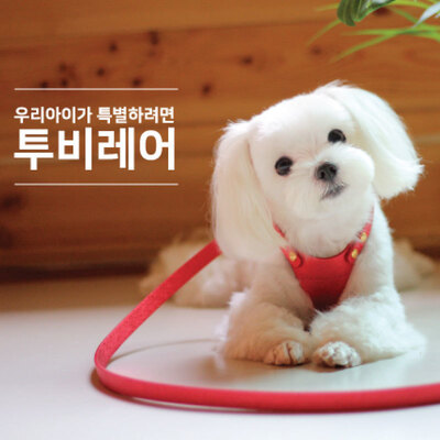 투비레어